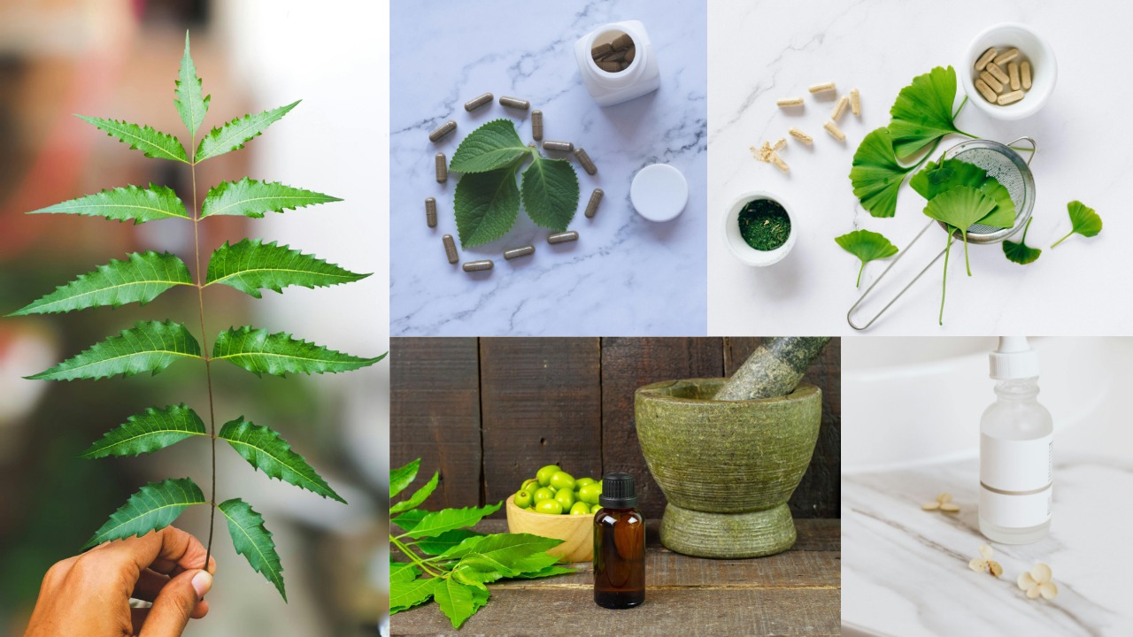 Assorted Edible Seeds